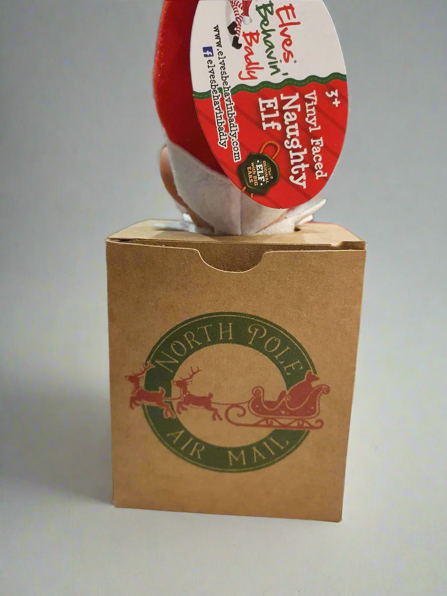Elf Arrival Box (Our Original Design)