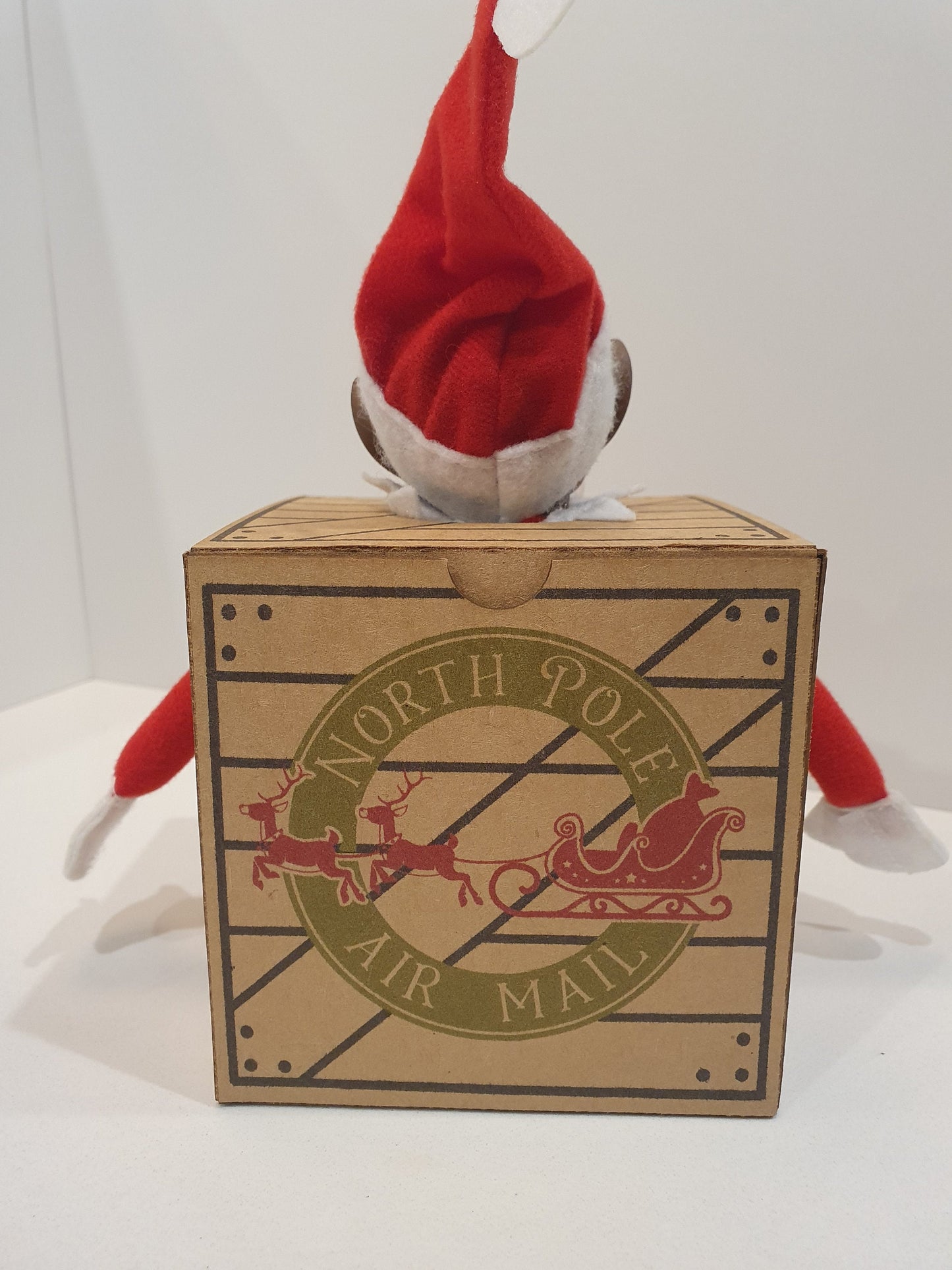 Elf Arrival Box, Includes an "Elves Behavin’ Badly" Plush Toy Elf! With Arm & Leg Holes