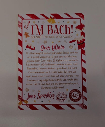 Elf Arrival Box, Santa's Elves Are Here! Cute Box With Arm & Leg Holes
